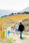 Anons des sources : Promenades avec des ânes