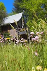Cabane perchée La Pôlette