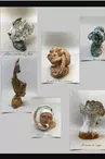 Cabinet de curiosités