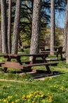 Aire de pique-nique - Parc du Château de Blou