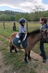 Balade en famille - Ferme Equestre le Foussac
