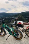 Location de vélos électrique vintage avec les bikes de papa - 1/2 journée