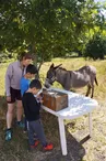 Chasse au trésor avec un âne