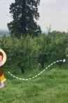 Jeu de piste interactif "A la recherche du poirier sacré"