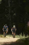 Location de vélos Route, Gravel et VTT à la journée - Face Sud