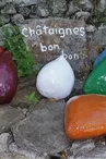 Le monde merveilleux du pic des fées - Le Ron des Fades