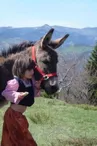 Balade avec les ânes du Coudoulet