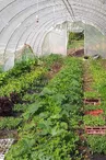 Les Jardins de Peyni
