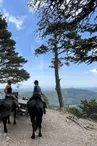 Activités équestres à la Maison des poneys