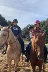 Cours d'équitation, randonnée