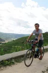 Location de vélos - Intersport Tournon sur Rhône