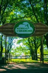 Parc de loisirs Accroche-toi aux branches