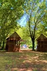 Les cabanes pilotis d'Harmony