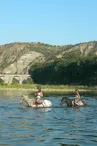 Randonnée Équestre Accompagnée - Equitation Chavetourte