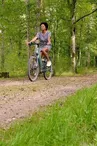 Forêt parc
