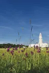 Verdun Forêt d’Exception
