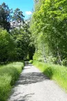Forêt domaniale de la Grande Saule