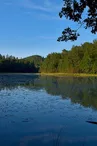 Réserve naturelle de l'étang de Lieschbach