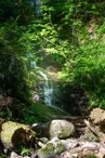 Le saut de la bourrique