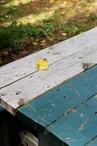 Aire de pique-nique de Lachambre Altviller