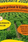 Pop's Aventures Labyrinthe de maïs