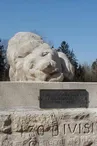 Lion de souville