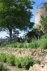 Jardins en terrasses