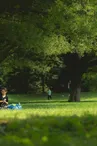 Pique Nique