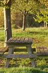 Aire de pique-nique