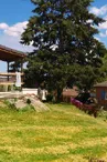 les chalets bois