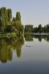 etang-st-martin