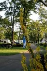 Camping Municipal Les Pâtures 2
