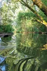 Kayak au moulin de Vilaine