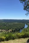 Point de vue