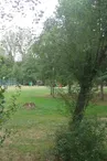 pique_nique