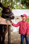 Rencontre entre un âne et un enfant