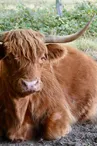 La ferme des Clautres_2