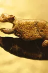 Musée de Rauranum à Rom
