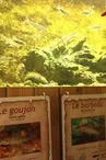 Aquariums du Lavoir_1