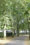 Parc de la Mairie Lavadac