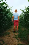 Labyrinthe-1-2
