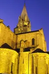 Collégiale Saint Martin_1