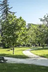 Parc Lawrance - Pau - Allée