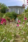 Château Mongenan, Jardins - PORTETS - La Gironde du Sud
