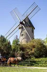 Le Moulin et la calèche