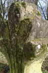 Parc-du-chateau---detail-Isabelle-Joachim-mairie-Coulonges-sur-l-Autize