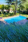 chambre d'hôtes villa rose blaye©rodrigo avelar de souza (33)