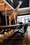 Le loft atypique