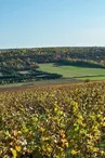 POint de vue et vignoble Montgueux.jpg