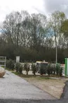 Aire de camping-car.jpg